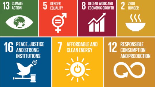 Developing Sustainability at Cefetra