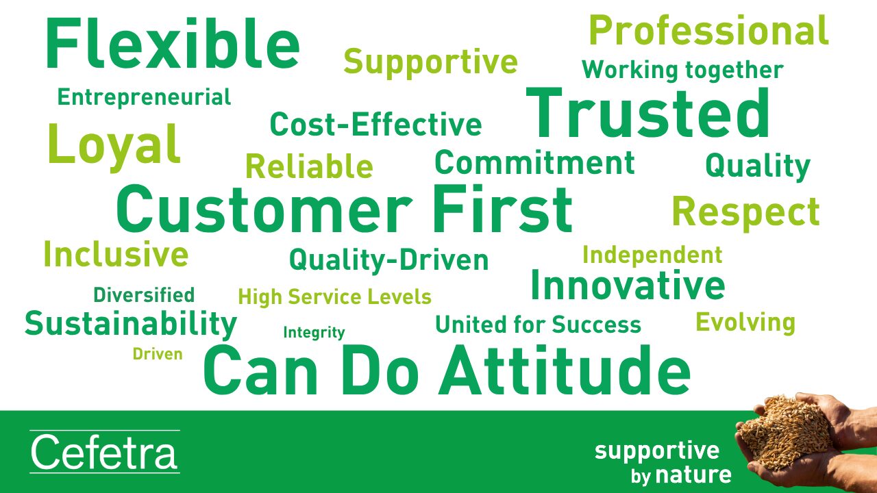 Can Do Attitude (240 x 190 px) (2)